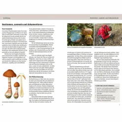DAS KOSMOS-HANDBUCH PILZE - Pilz-Ratgeber