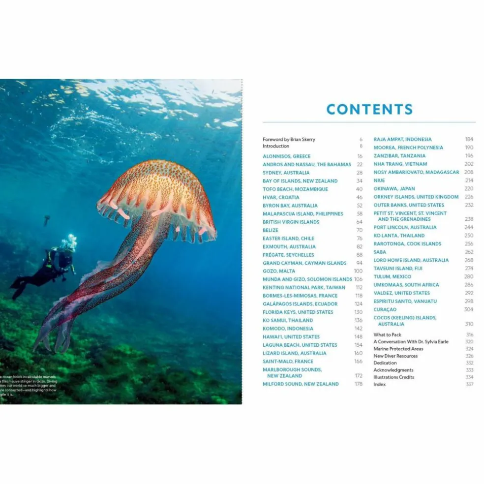 DER ULTIMATIVE WORLD DIVER'S GUIDE - Bildband