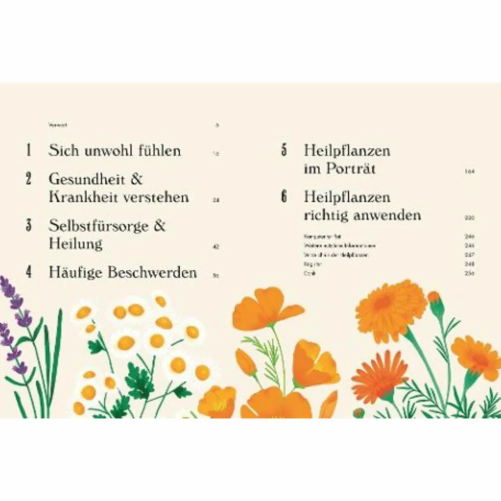 DIE PFLANZLICHE HAUSAPOTHEKE - Sachbuch