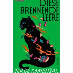 DIESE BRENNENDE LEERE - Roman