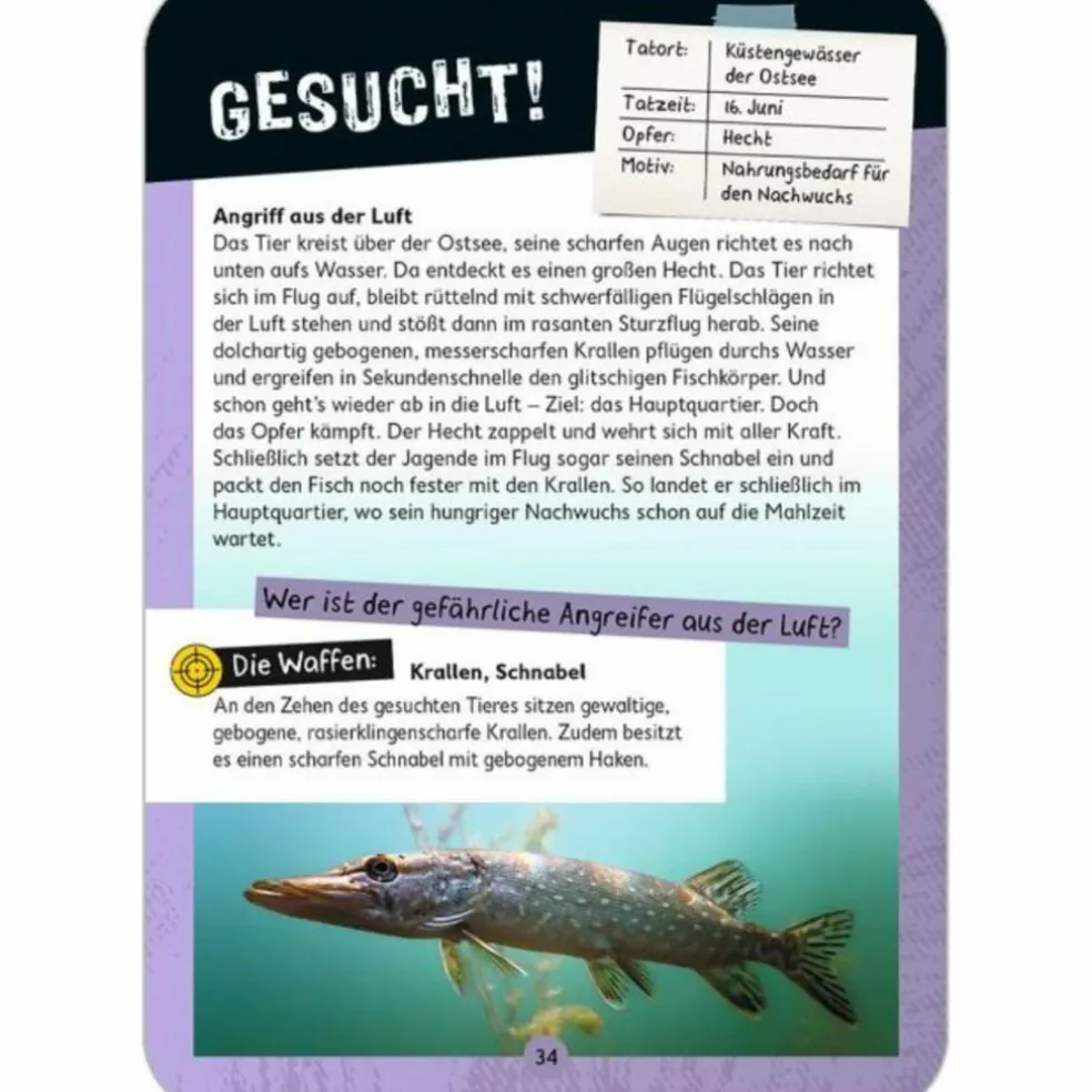 EXPEDITION NATUR - TATORT NATUR - Reisespiel