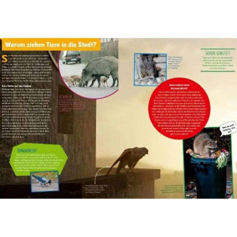 GENIALE NATUR! DIE SUPERTRICKS UNSERER TIERE UND PFLANZEN - Kinderbuch