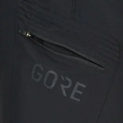 Gore Wear PASSION SHORTS Damen - Radshorts