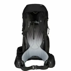 Gregory BALTORO 65 - Trekkingrucksack