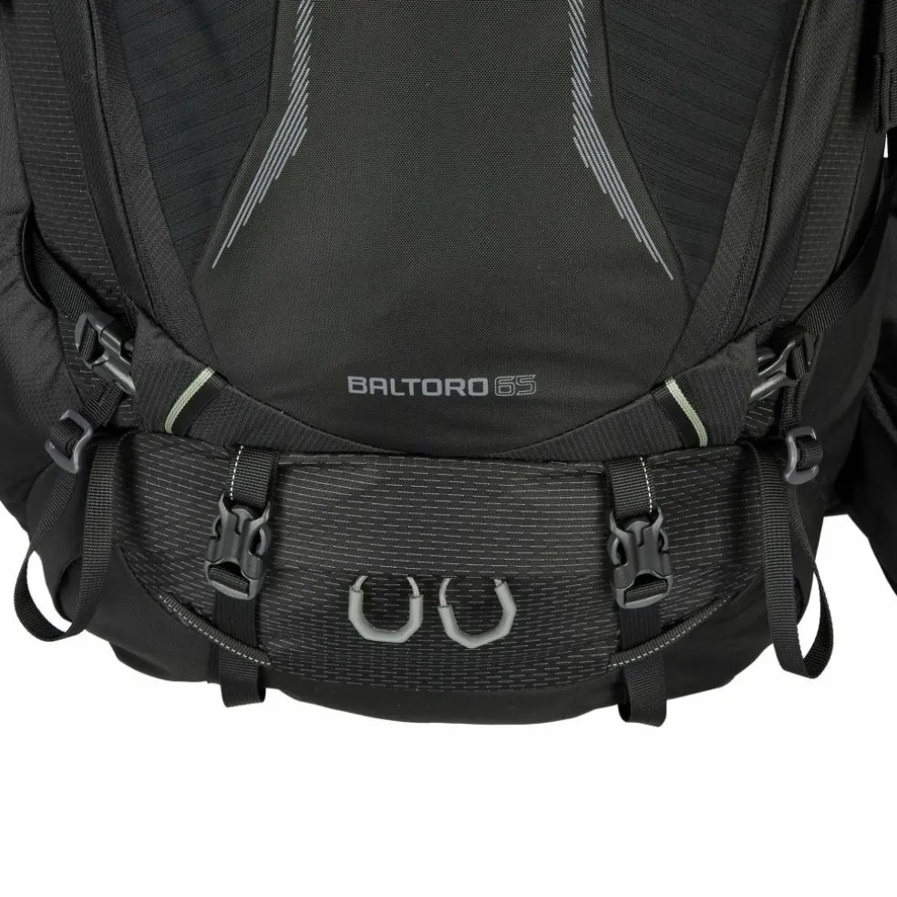 Gregory BALTORO 65 - Trekkingrucksack