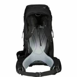 Gregory BALTORO 65 - Trekkingrucksack