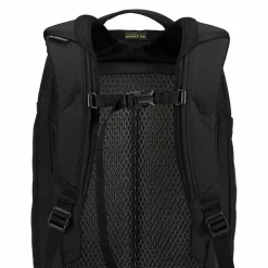 Gregory BORDER 30 - Kofferrucksack