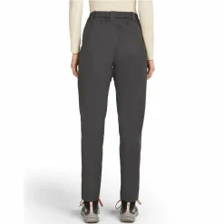 Icebreaker W MERINO BLEND ELEVATION STRETCH PANTS Damen - Trekkinghose