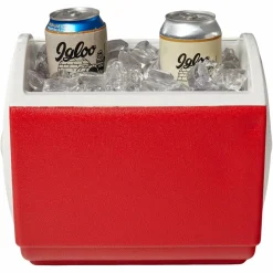 IGLOO PLAYMATE PAL PASSIVE COOLER - Kühlbox