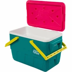 IGLOO RETRO PICNIC BASKET 25 - Kühlbox