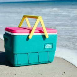 IGLOO RETRO PICNIC BASKET 25 - Kühlbox