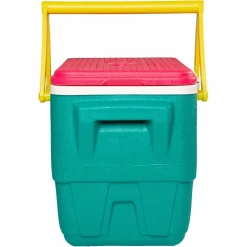 IGLOO RETRO PICNIC BASKET 25 - Kühlbox