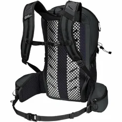 Jack Wolfskin CYROX SHAPE 20 - Tagesrucksack
