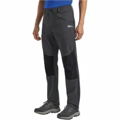 Jack Wolfskin HIKING ALPINE PANTS M Herren - Trekkinghose