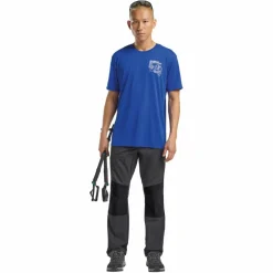 Jack Wolfskin HIKING ALPINE PANTS M Herren - Trekkinghose