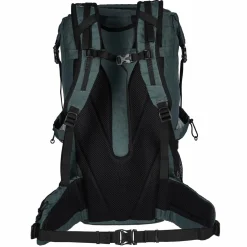Jack Wolfskin WANDERMOOD ROLLTOP 30 - Tagesrucksack
