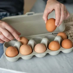 KOZIOL EGG BOX EGGS TO GO