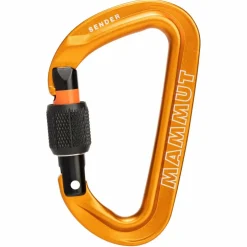 Mammut SENDER SCREWGATE CARABINER - Karabiner