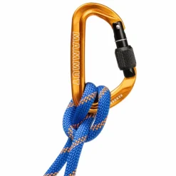 Mammut SENDER SCREWGATE CARABINER - Karabiner