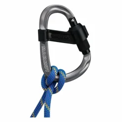 Mammut SMART HMS 2.0 SCREWGATE CARABINER - Karabiner