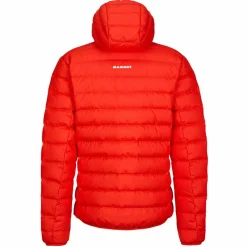 Mammut WAYMARKER IN HOODED JACKET M Herren - Daunenjacke