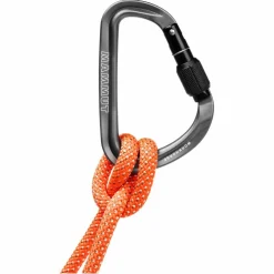 Mammut WORKHORSE HMS SCREWGATE CARABINER - Karabiner