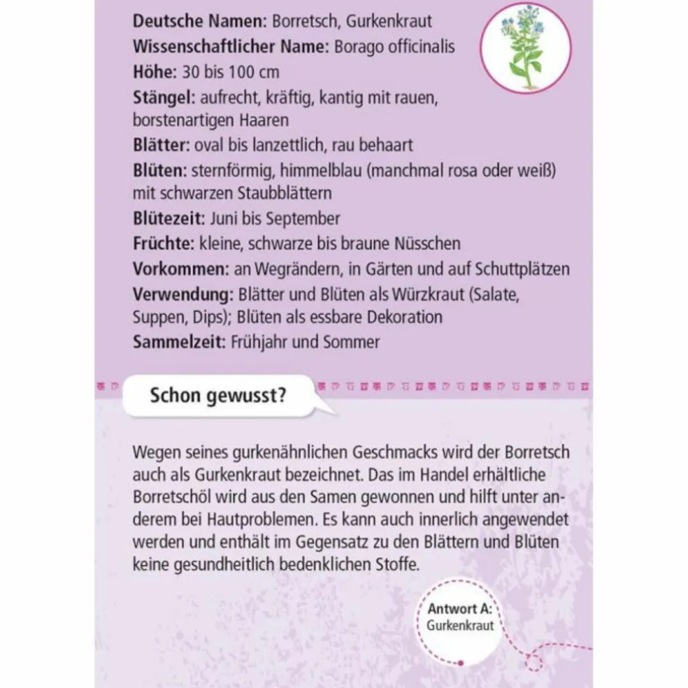 Moses Verlag EXPEDITION NATUR 50 ESSBARE WILDPFLANZEN - Reisespiel
