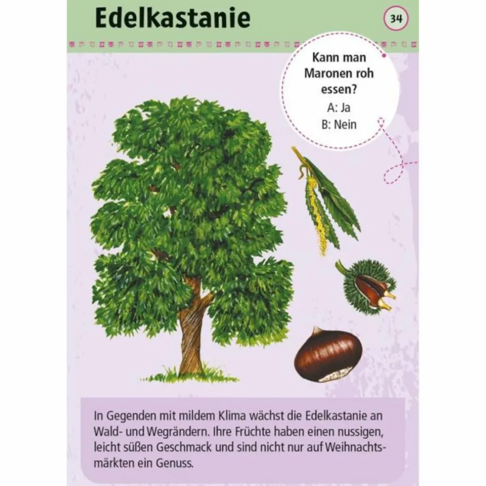 Moses Verlag EXPEDITION NATUR 50 ESSBARE WILDPFLANZEN - Reisespiel