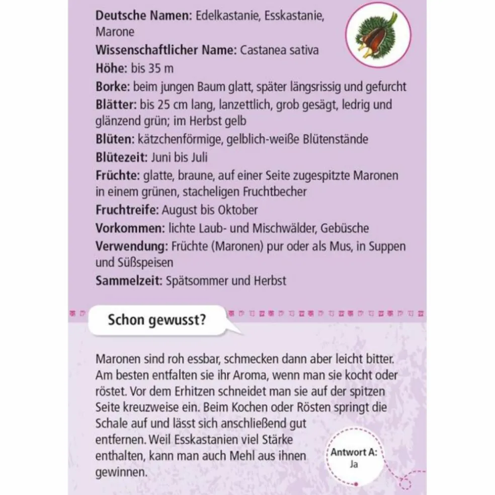 Moses Verlag EXPEDITION NATUR 50 ESSBARE WILDPFLANZEN - Reisespiel