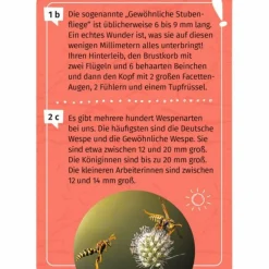 Moses Verlag MEIN BECHERLUPEN-FORSCHERQUIZ - Reisespiel