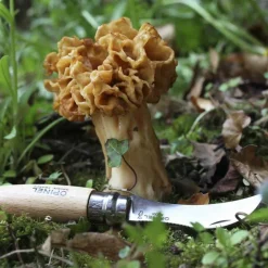 Opinel NO 08 PILZMESSER MIT BÜRSTE Unisex - Klappmesser