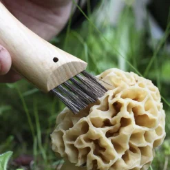 Opinel NO 08 PILZMESSER MIT BÜRSTE Unisex - Klappmesser