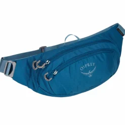 Osprey DAYLITE WAIST - Hüfttasche