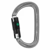 Petzl AM’D - Karabiner