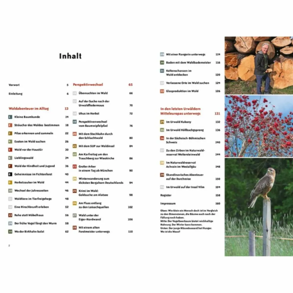RAUS IN DEN WALD - Ratgeber