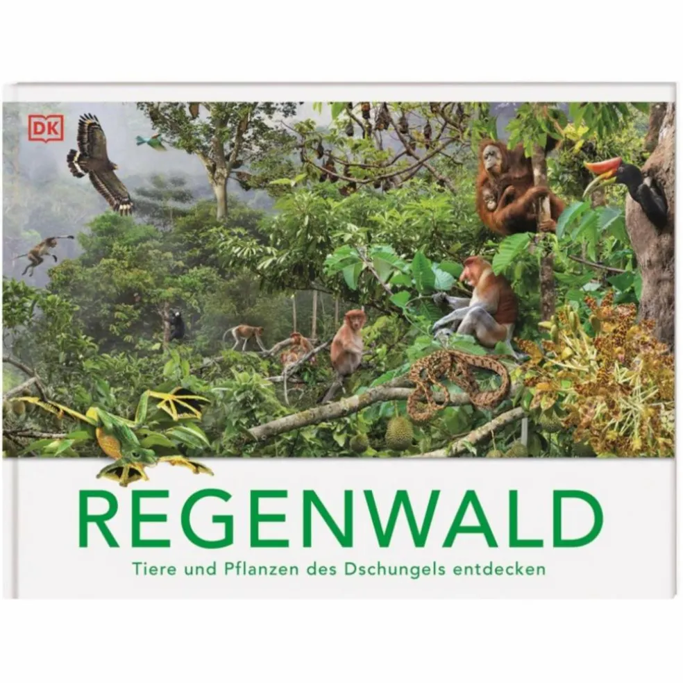 REGENWALD - Kinderbuch