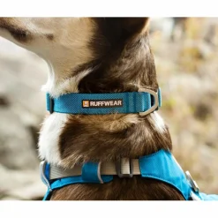 Ruffwear HI & LIGHT COLLAR - Hundezubehör