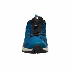 Salomon XA PRO 3D V9 GTX Herren - Wanderschuhe
