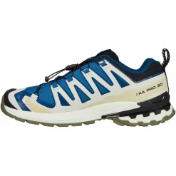 Salomon XA PRO 3D V9 GTX Herren - Wanderschuhe