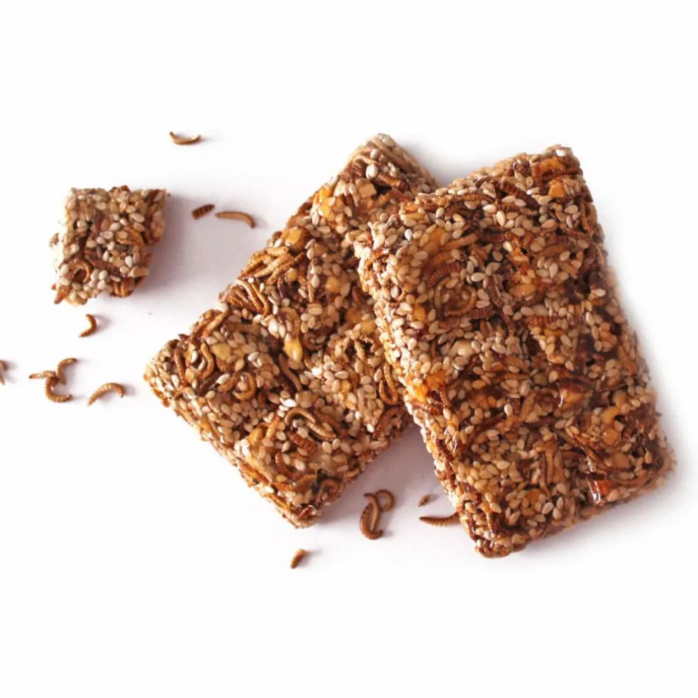 Snack-Insects BUG-BREAK 36G - Müsliriegel