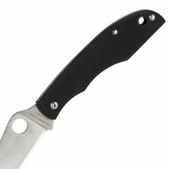 Spyderco GRASSHOPPER G10 BLACK PLAINEDGE - Klappmesser