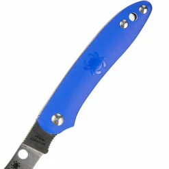 Spyderco ROADIE BLUE - Klappmesser