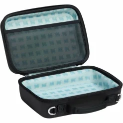 Stanley THE ARISTA MINI LUNCH BOX - Kühltasche