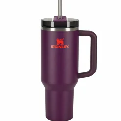 Stanley THE QUENCHER H2.O FLOWSTATE TUMBLER Unisex - Thermobecher