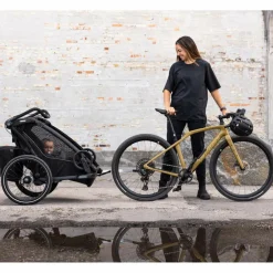 Thule CHARIOT SPORT SINGLE NATURAL GOLD - Fahrradanhänger