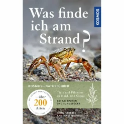 WAS FINDE ICH AM STRAND? - Ratgeber