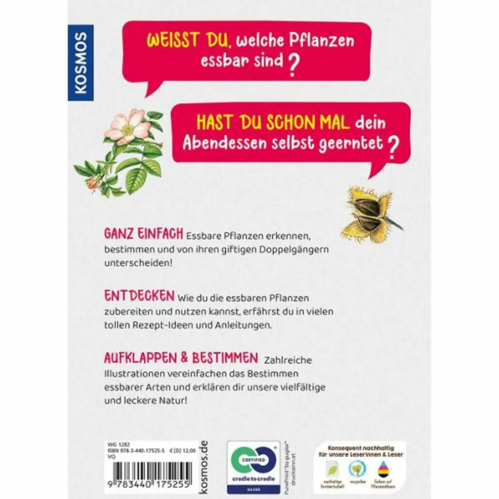 WELCHE ESSBARE PFLANZE IST DAS? KINDERNATURFÜHRER - Kinderbuch