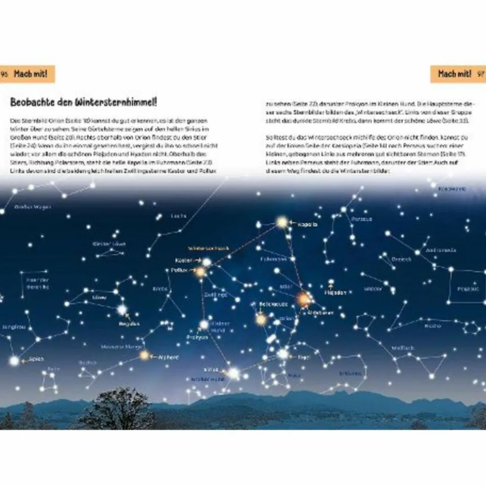 WELCHER STERN IST DAS? KINDERNATURFÜHRER - Kinderbuch