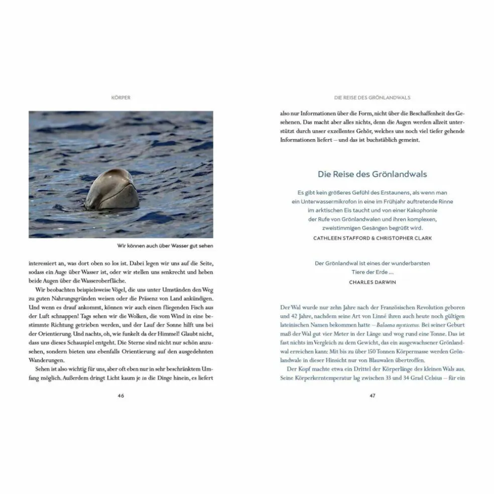 WIR WALE - Sachbuch