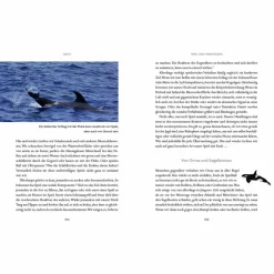 WIR WALE - Sachbuch